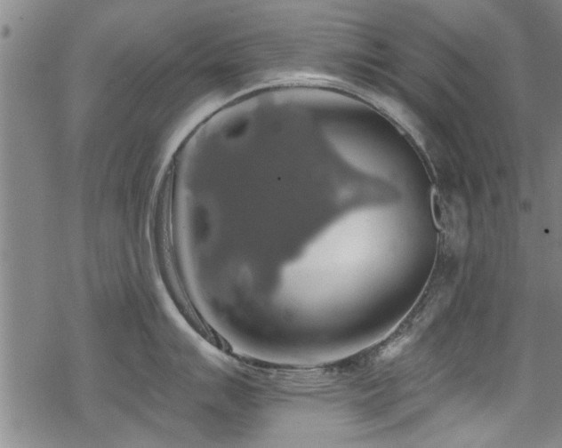 X0000068841007200605051257