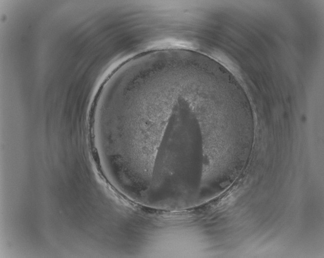 X0000068841008200605051257