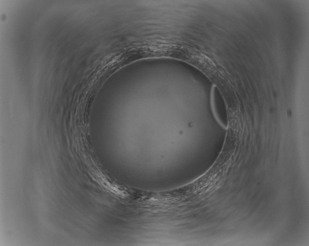 X0000068841009200605051256