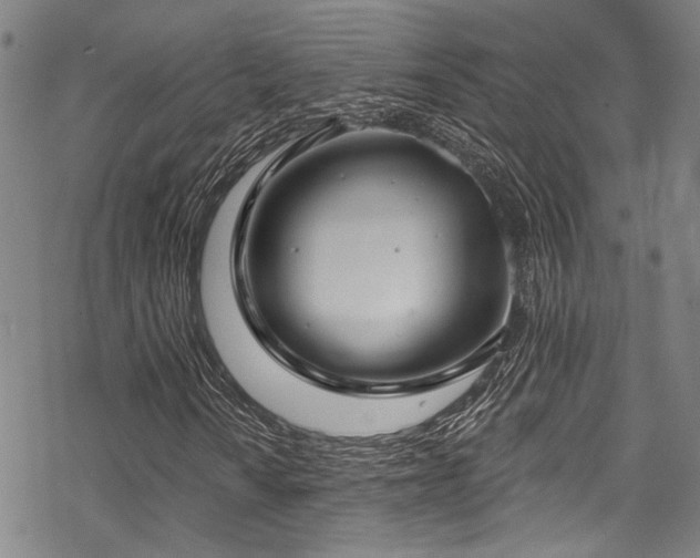 X0000068841010200605051256