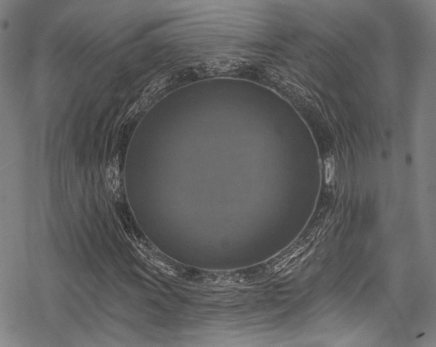 X0000068841011200605051256