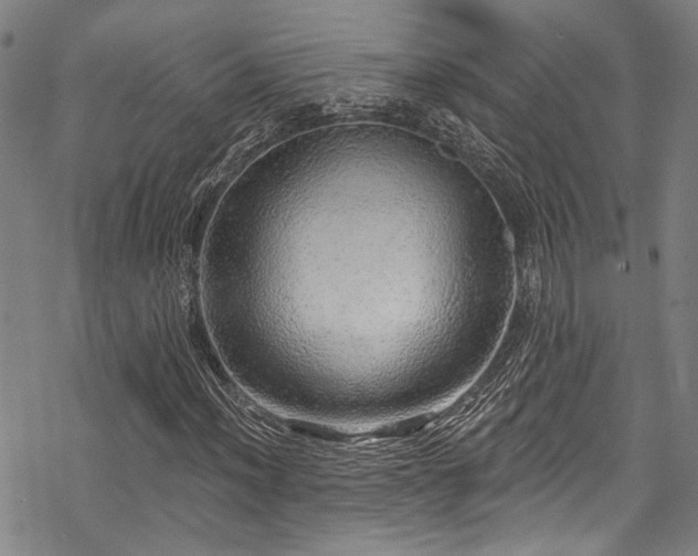 X0000068841012200605051256