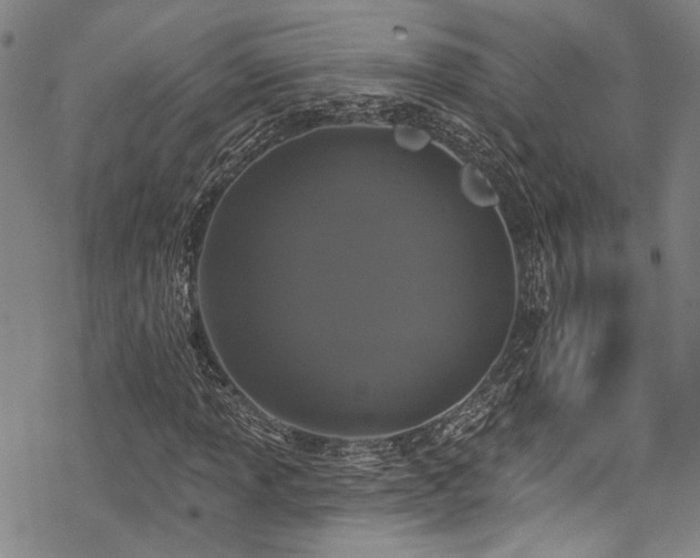 X0000068841013200605051256