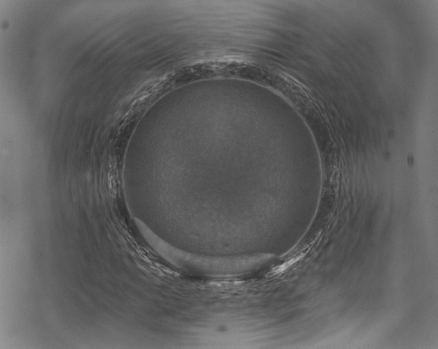 X0000068841014200605051256