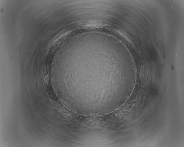 X0000068841015200605051256