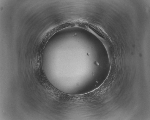 X0000068841016200605051256