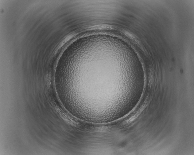 X0000068841017200605051256