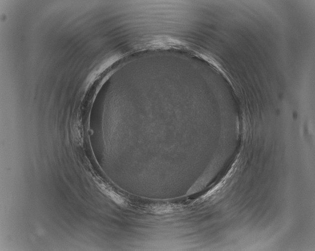 X0000068841018200605051256