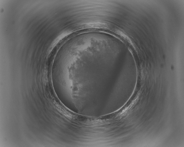 X0000068841019200605051256