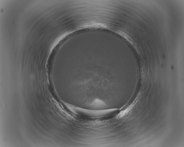 X0000068841022200605051256