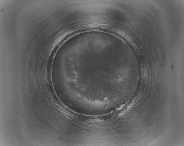 X0000068841023200605051256