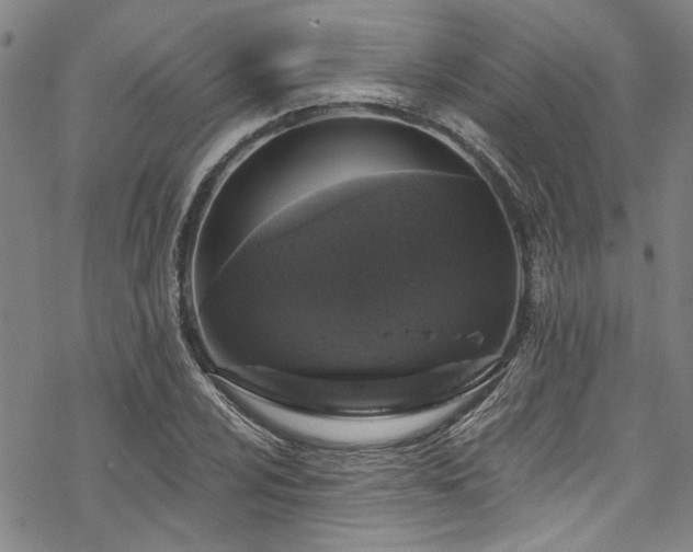 X0000068841024200605051256