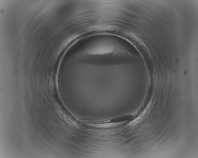 X0000068841025200605051256