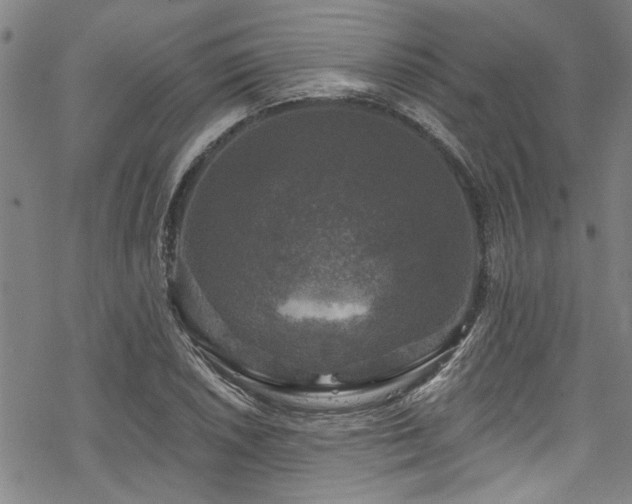 X0000068841026200605051256