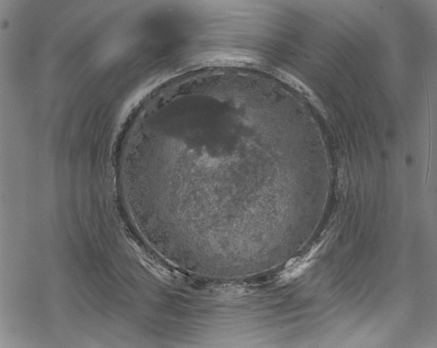 X0000068841027200605051256