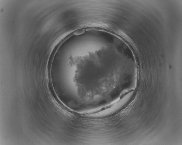 X0000068841028200605051256