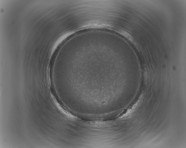 X0000068841030200605051256