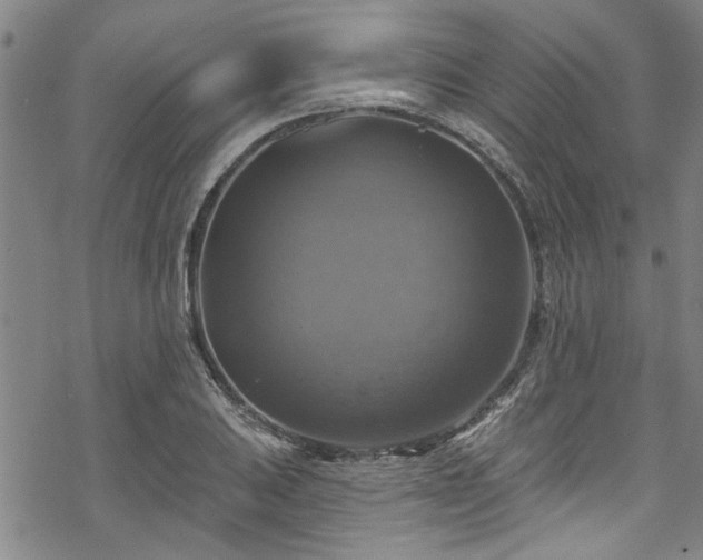 X0000068841031200605051256