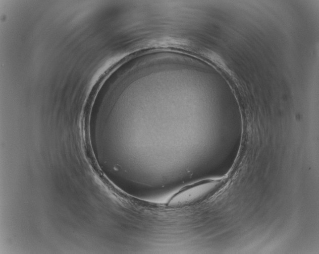 X0000068841032200605051256