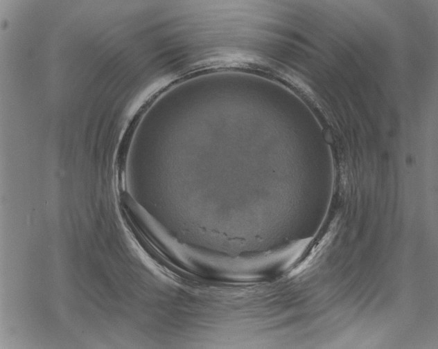 X0000068841034200605051256