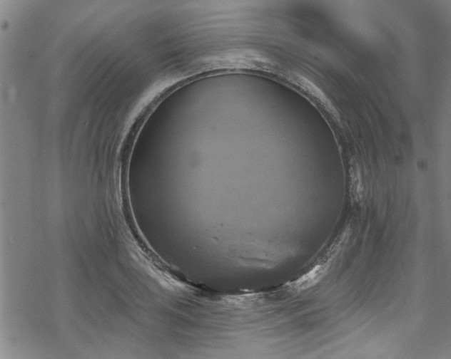 X0000068841035200605051256