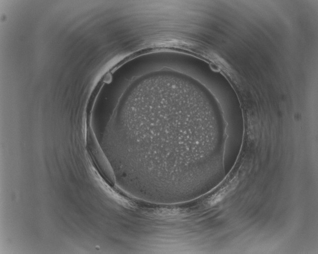 X0000068841036200605051256