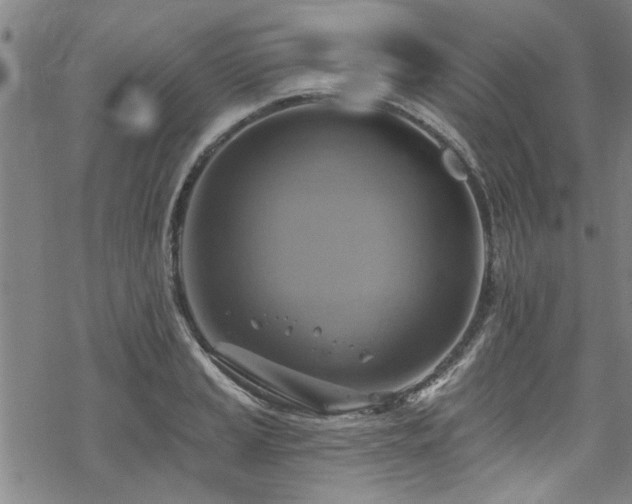 X0000068841037200605051257