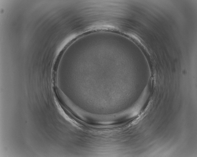 X0000068841038200605051257