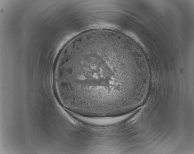 X0000068841040200605051257