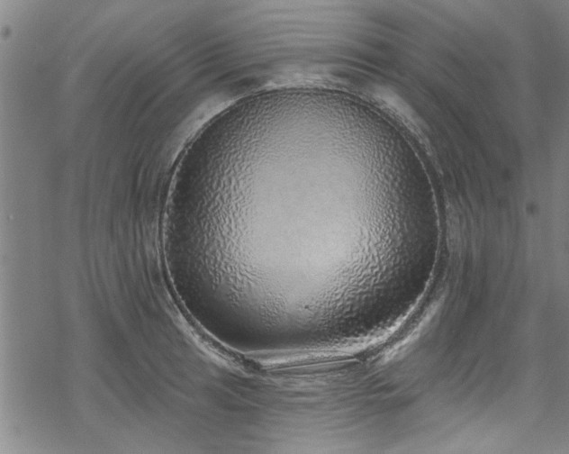 X0000068841041200605051257