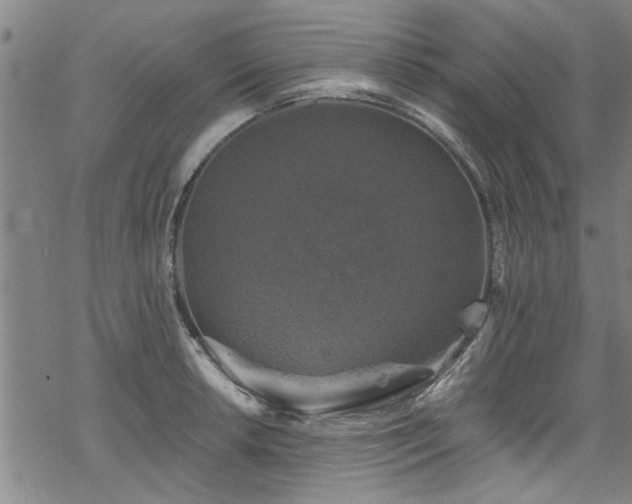 X0000068841042200605051257