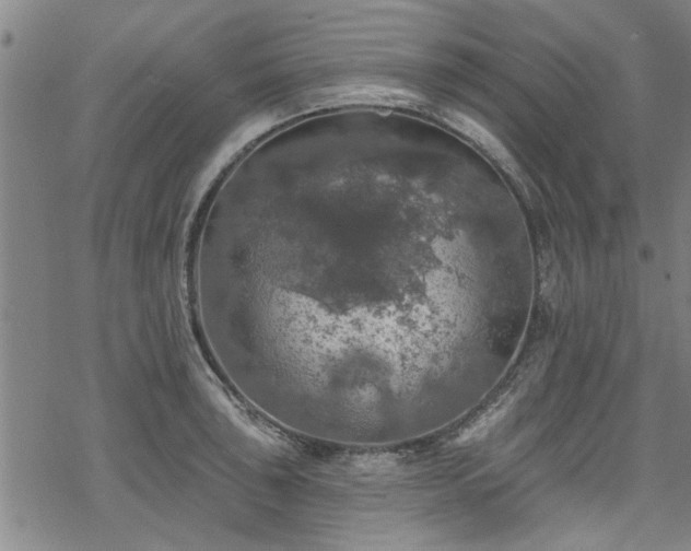 X0000068841043200605051257