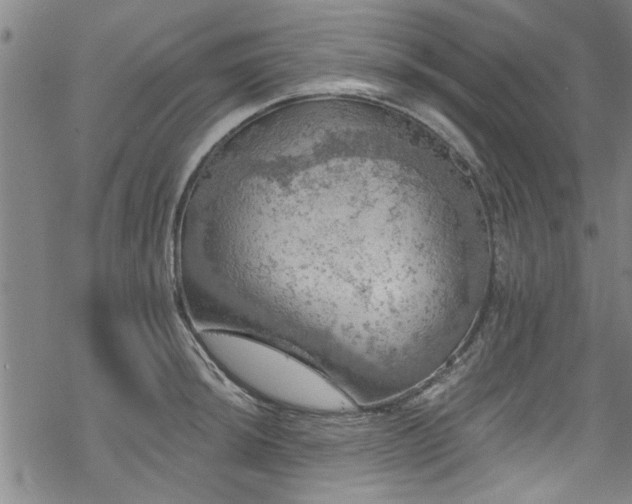 X0000068841044200605051257