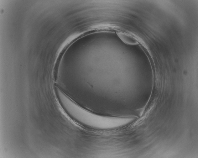 X0000068841045200605051257