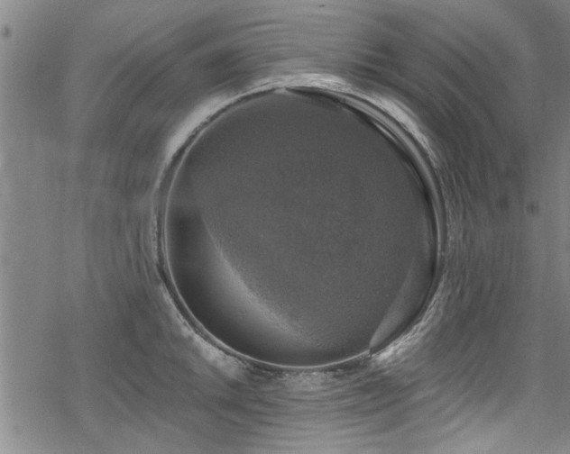 X0000068841046200605051257