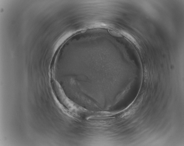 X0000068841047200605051257