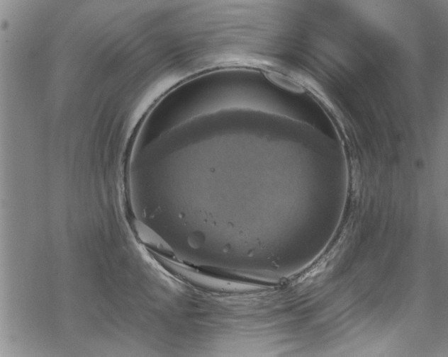 X0000068841048200605051257