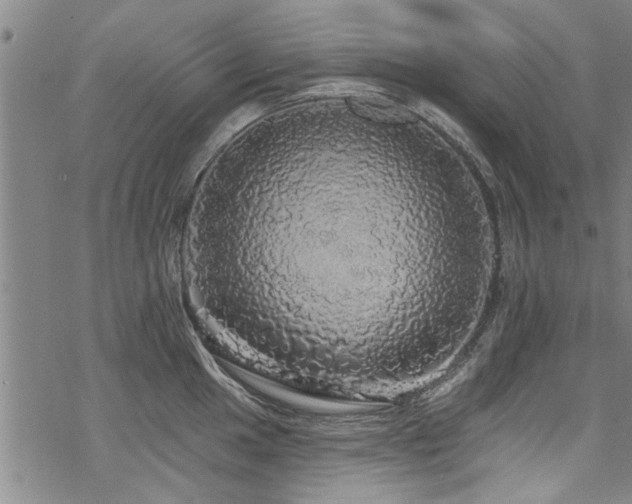 X0000068841049200605051257