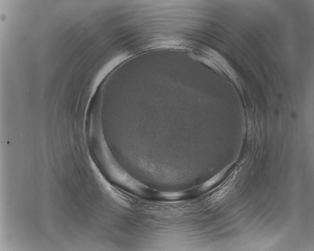 X0000068841050200605051257