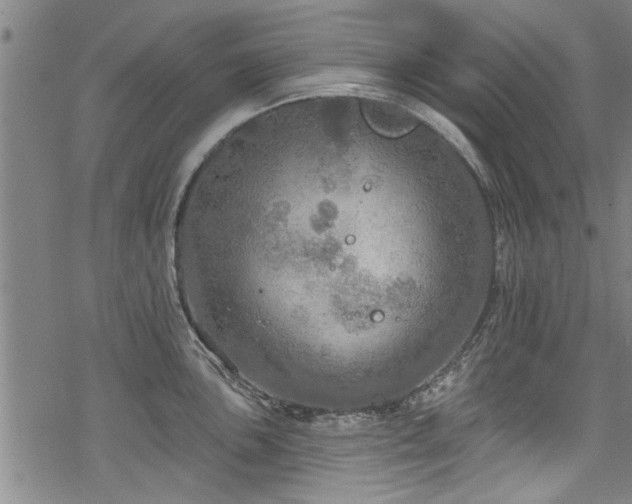 X0000068841051200605051257