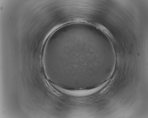 X0000068841052200605051257