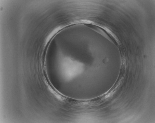 X0000068841054200605051257