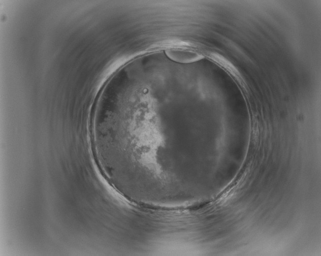 X0000068841055200605051257