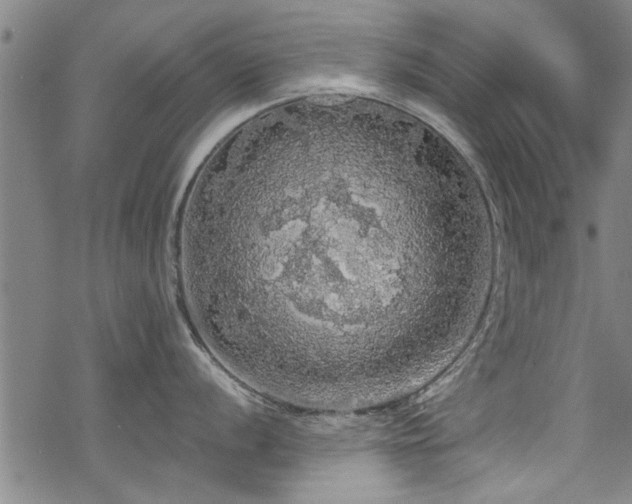 X0000068841056200605051257