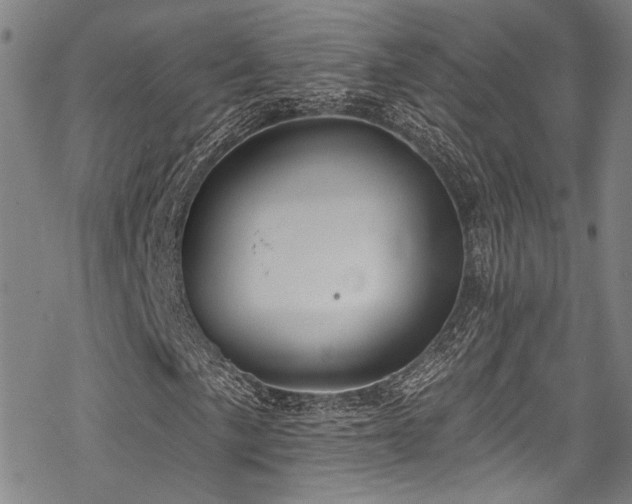 X0000068841057200605051256