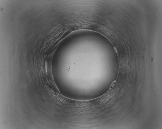 X0000068841058200605051256