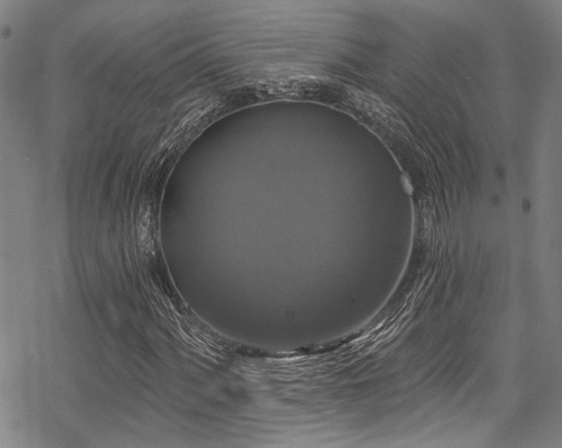 X0000068841060200605051256