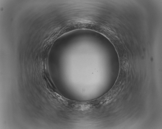 X0000068841061200605051256