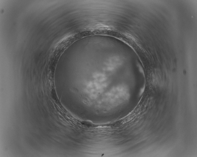 X0000068841063200605051256