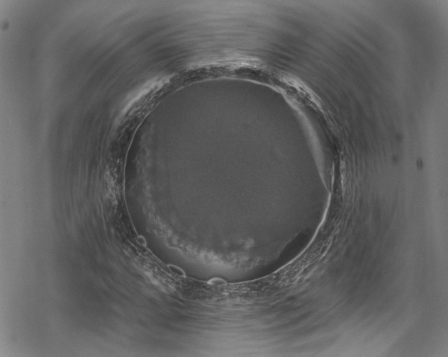 X0000068841064200605051256